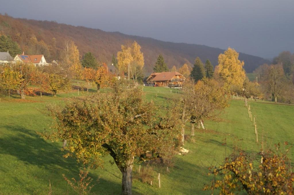 Vreni'S Gaestezimmer Himmelried Экстерьер фото